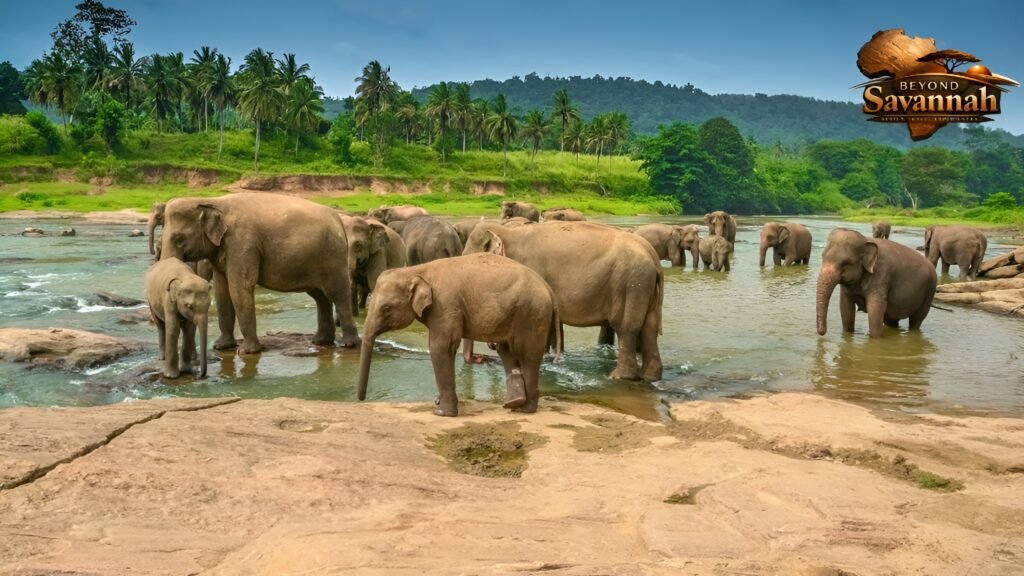 untitled design (48) (1)