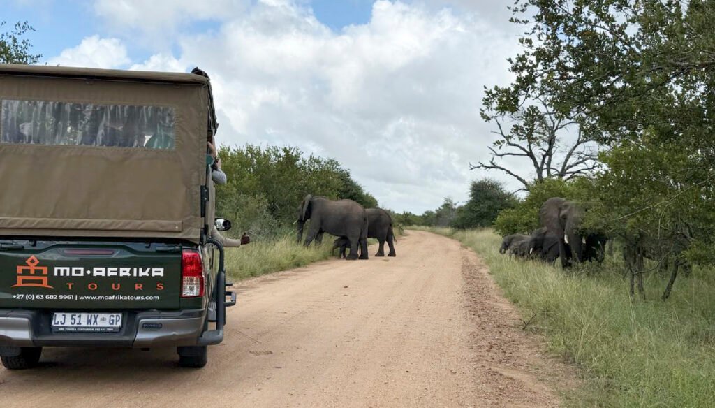 artboard 2 copy 3 100.jpg