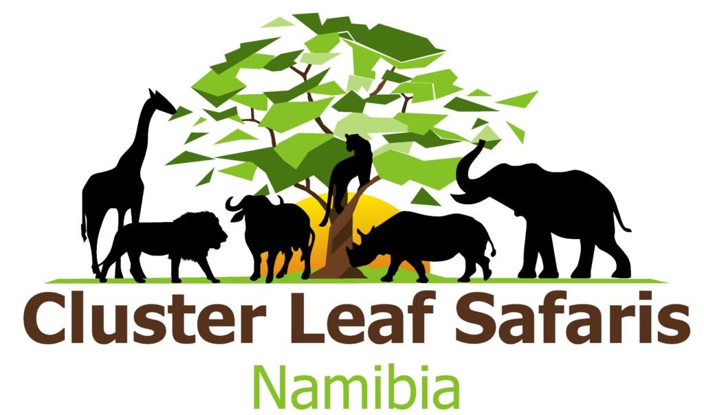 cluster leaf safaris act.jpg