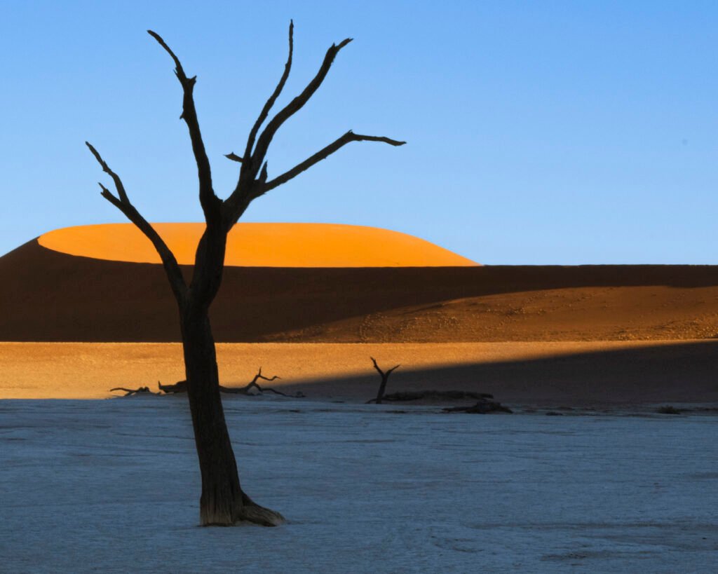 dead vlei namibia.jpg