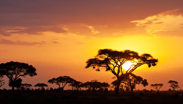 mara sunset.png