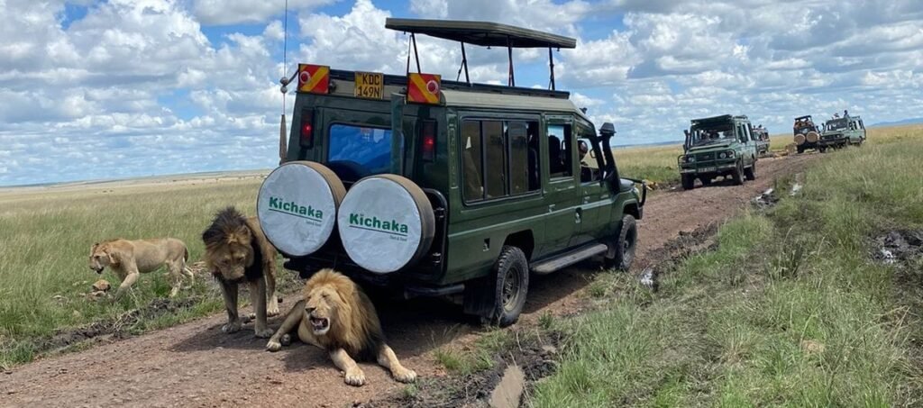 kichaka tours.jpg
