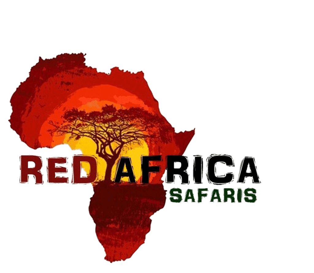 red africa safaris logo printing 3.gif