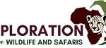 Exploration africa wildlife and safaris